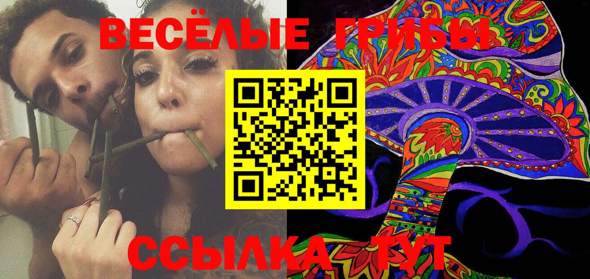 Галлюциногенные грибы MAGIC MUSHROOMS  Вход с VPN  Городец 